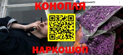 стафф Краснодар