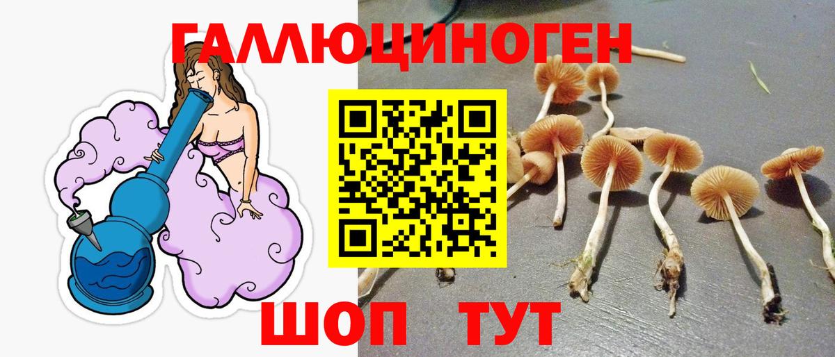 Псилоцибиновые грибы MAGIC MUSHROOMS  Вход с VPN  Псилоцибиновые грибы Cubensis  Ишим 